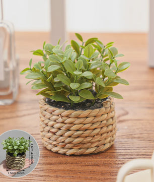 Kunstplant Eucalyptus Gras in Geweven Pot - Groen, 11cm