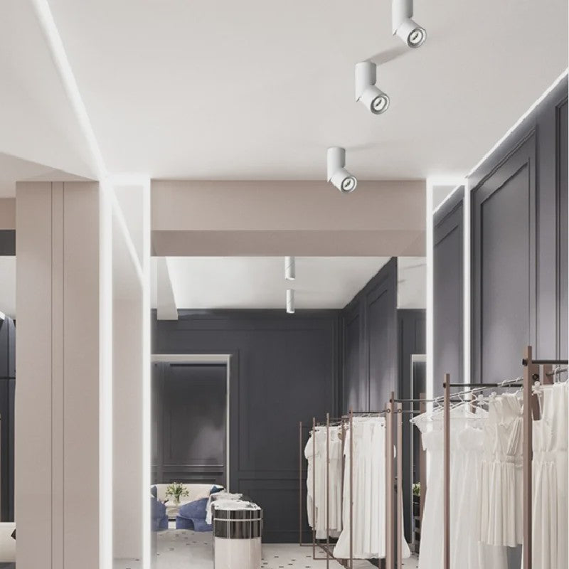 Verstelbare LED Plafondspots 10W-24W | Dimbare Downlights met Keuze uit Kleurtemperaturen