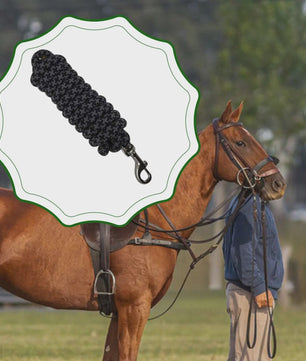 Flexibel Paardrijtouw 250cm Nylon Longeerlijn voor Training en Stalaccessoires