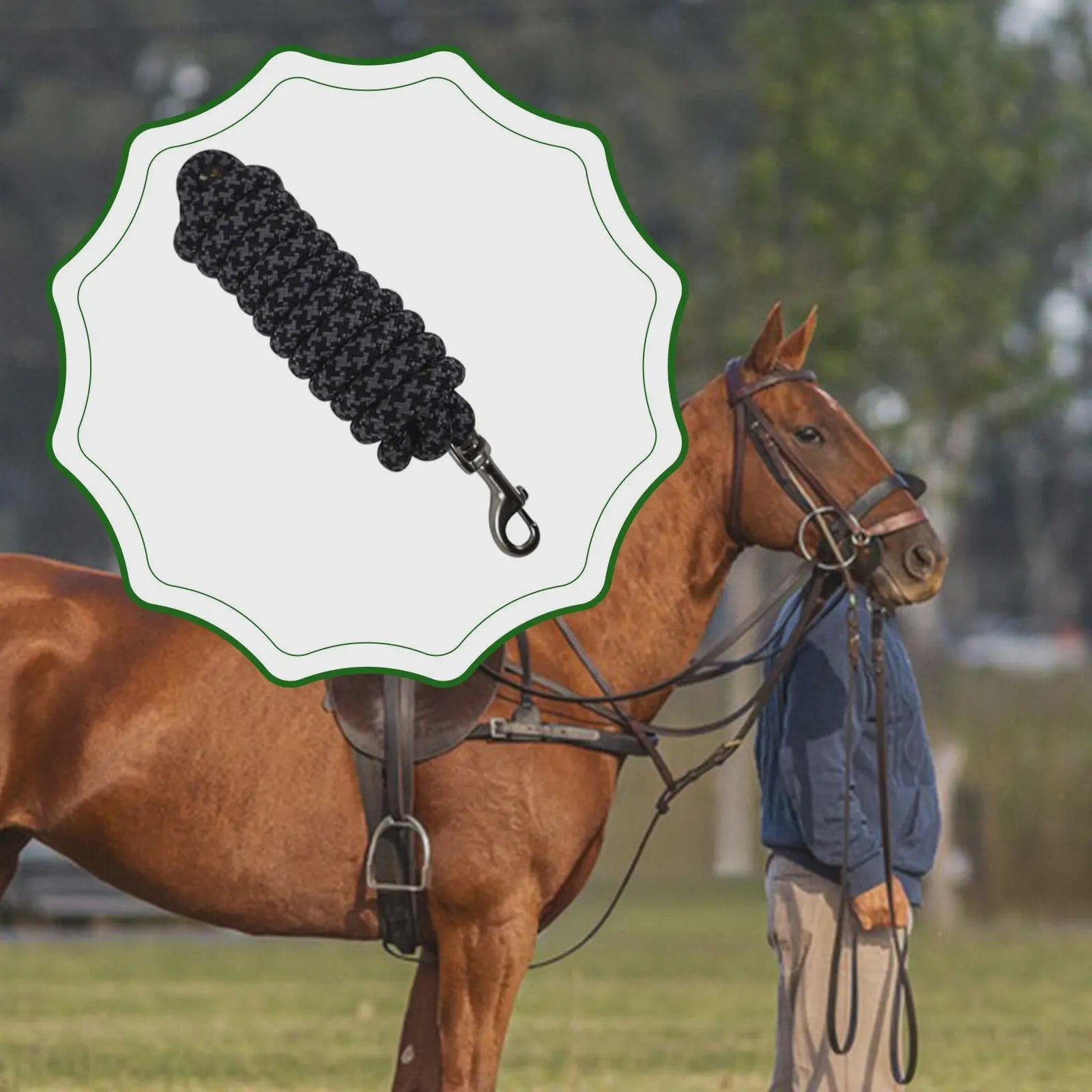 Flexibel Paardrijtouw 250cm Nylon Longeerlijn voor Training en Stalaccessoires