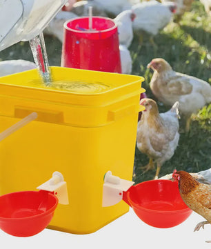 Automatische Drinkbakjes voor Kippen, Quails, Eenden & Duiven (Set van 5/10/20)