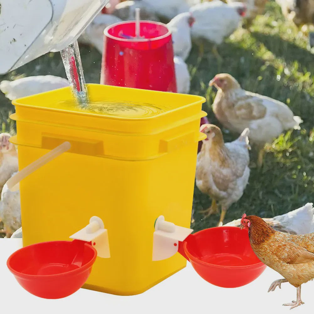 Automatische Drinkbakjes voor Kippen, Quails, Eenden & Duiven (Set van 5/10/20)