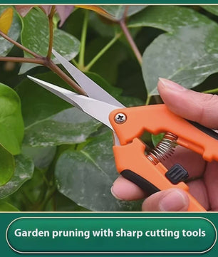 Scherpe Snoeischaar voor Tuinieren, Bonsai & Fruit Plukken - Ergonomisch Ontwerp