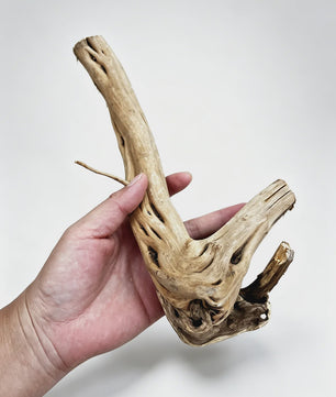 Uniek Drijfhout Decoratie voor Aquarium en Terrarium - Natuurlijke Wortelstructuren (7-26cm)