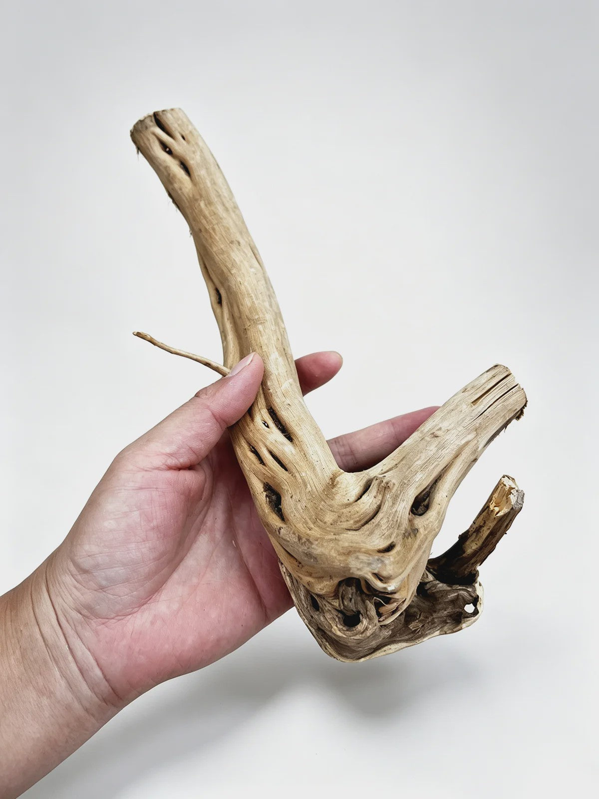 Uniek Drijfhout Decoratie voor Aquarium en Terrarium - Natuurlijke Wortelstructuren (7-26cm)