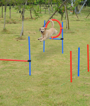 PawHut Agility sport for dogs complete equipment obstacles and training 11 pieces agility course dog with trans bag
