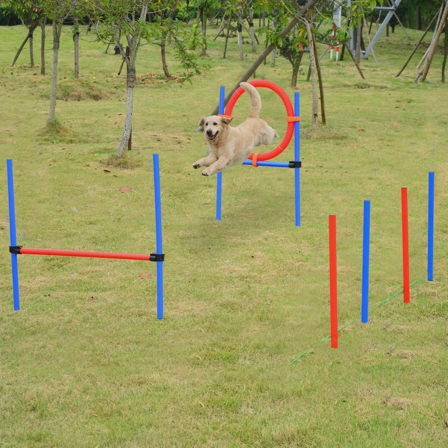 PawHut Agility sport for dogs complete equipment obstacles and training 11 pieces agility course dog with trans bag
