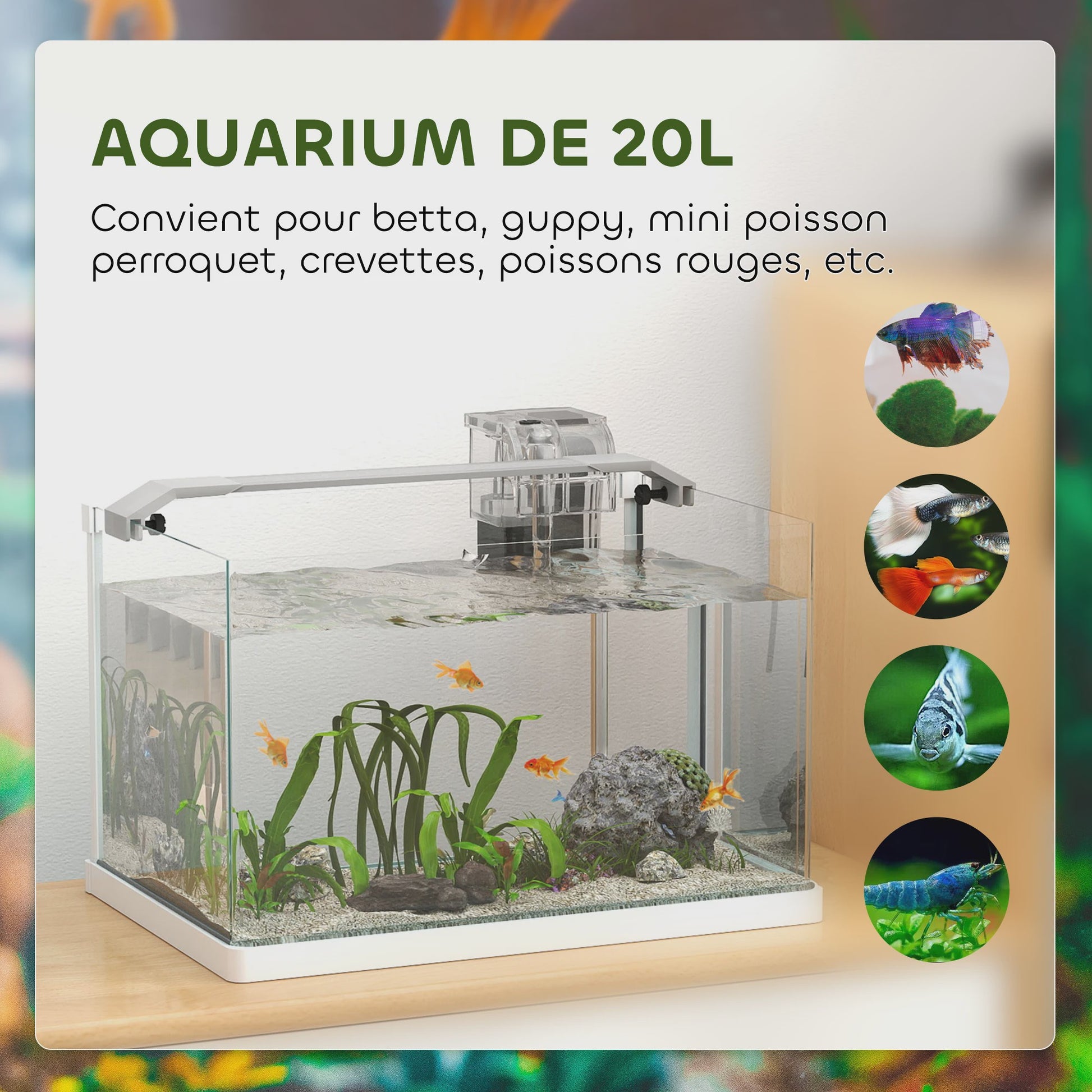 PawHut Glazen Aquarium met LED Verlichting, Filterpomp en 20L Inhoud - 38x26x27 cm Wit