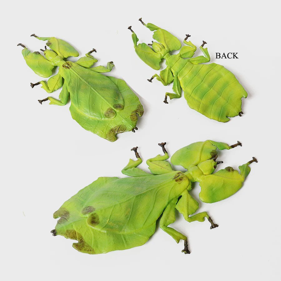 Realistische Insecten Model Figuren: Bidsprinkhaan, Bladwesp & Meer - Educatief Speelgoed & Decoratie