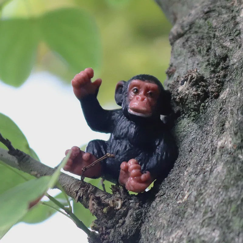 Oenux Wild Animal Speelfiguren: Aap, Chimpansee, Orang-oetan & Gibbon (PVC)