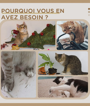PawHut Kattenkrabpaal met Niche, Mand, Pompon en Sisal - Beige 45x40x74 cm