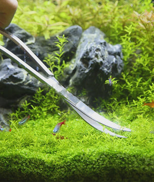 Professionele Aquarium Gereedschap Set: Roestvrij Staal Scharen & Tweezer