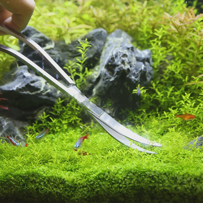 Professionele Aquarium Gereedschap Set: Roestvrij Staal Scharen & Tweezer