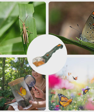 Insectenvanger met Vergrootglas: Veilig Vangen en Bekijken van Vlinders, Spinnen & Insecten voor Kinderen en Volwassenen