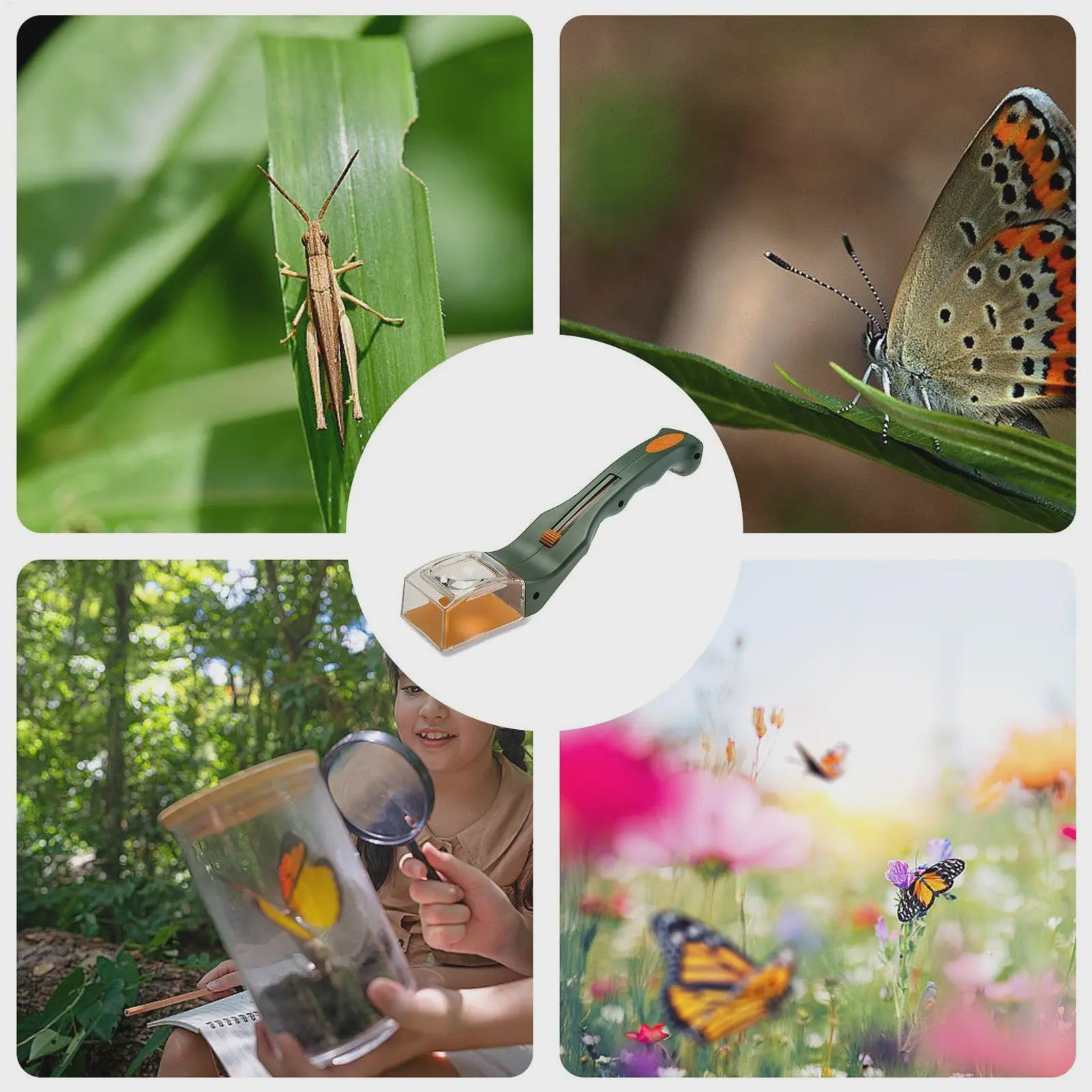 Insectenvanger met Vergrootglas: Veilig Vangen en Bekijken van Vlinders, Spinnen & Insecten voor Kinderen en Volwassenen