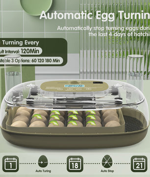 Automatische 24-Eieren Incubator: Temperatuur & Vochtigheid Display, Automatische Watertoevoer, Eiercandler & Keerfunctie
