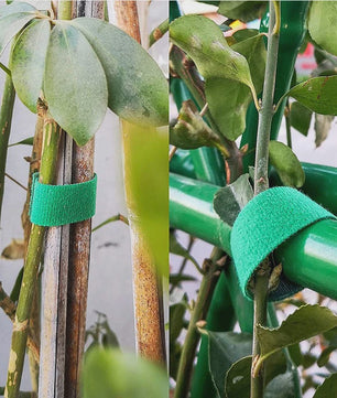 3 Rollen Groene Plantentape - Flexibele Nylon Plantenband voor Tuinondersteuning