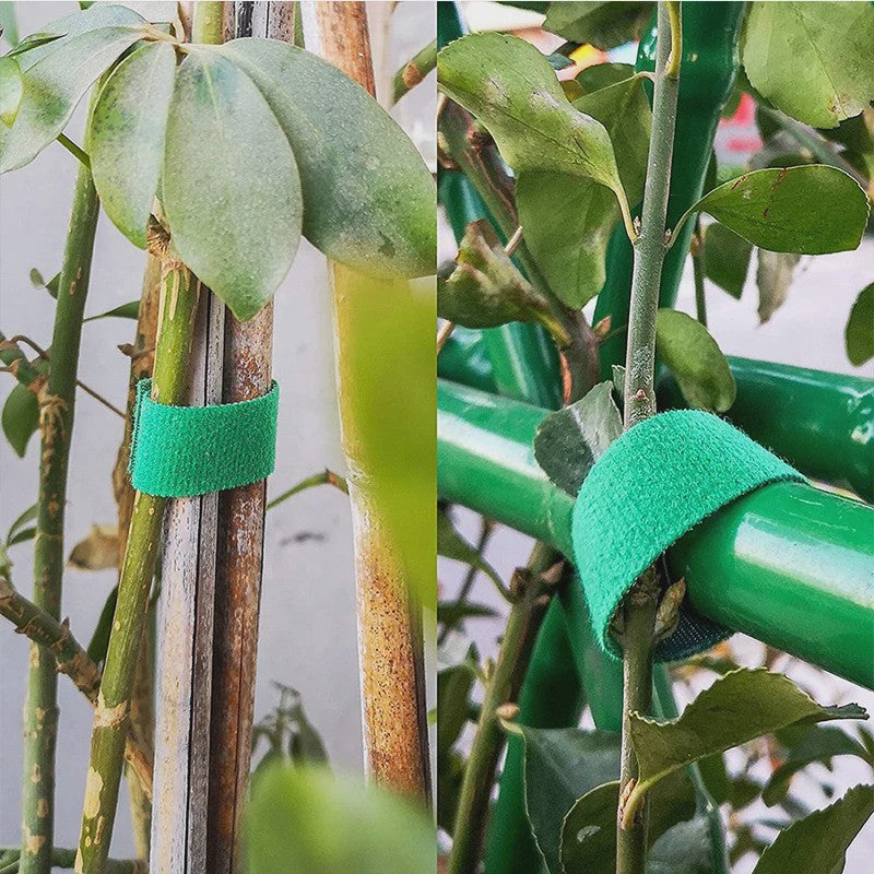 3 Rollen Groene Plantentape - Flexibele Nylon Plantenband voor Tuinondersteuning