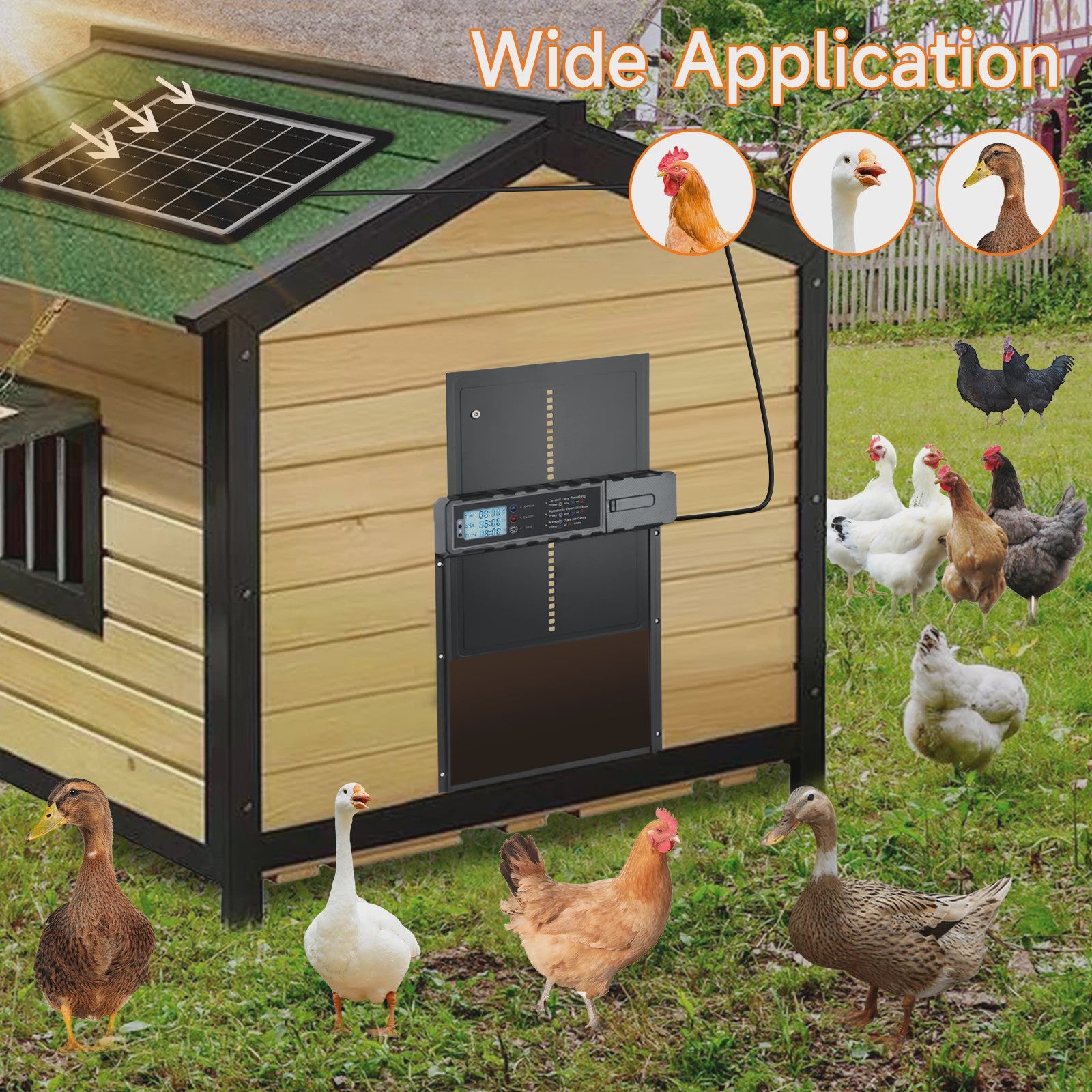 Automatische Kippenhok Deur met Timer, USB & Zonne-energie Opladen, Anti-knijp