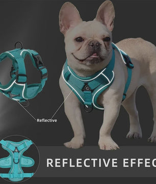 Verstelbaar Anti-Trek Hondentuig met Lijn - Reflecterend & Comfortabel voor Kleine Honden en Katten