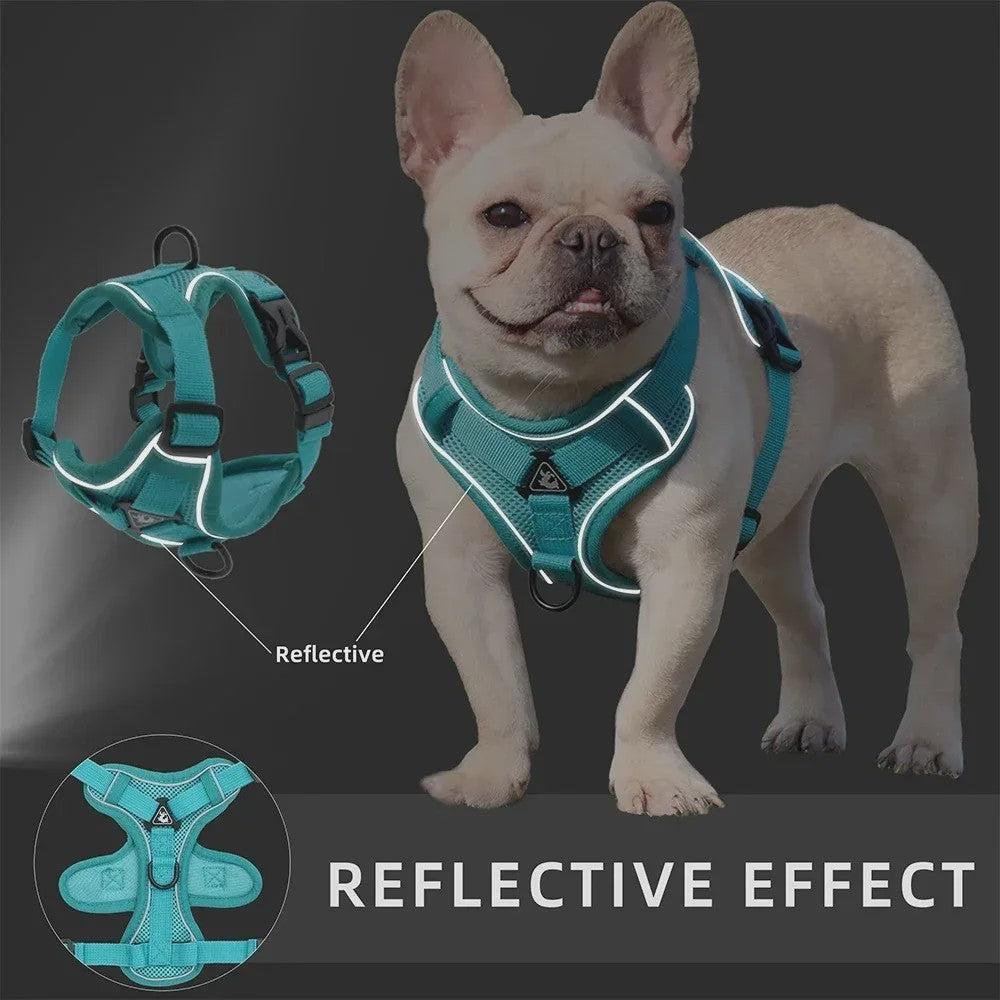 Verstelbaar Anti-Trek Hondentuig met Lijn - Reflecterend & Comfortabel voor Kleine Honden en Katten