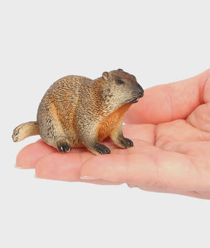 Realistische Marmot Beeldjes - PVC Sierfiguren voor Huisdecoratie