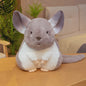 Schattige Chinchilla Pluche Kussen - Zacht Pluche Dier Speelgoed voor Kinderen