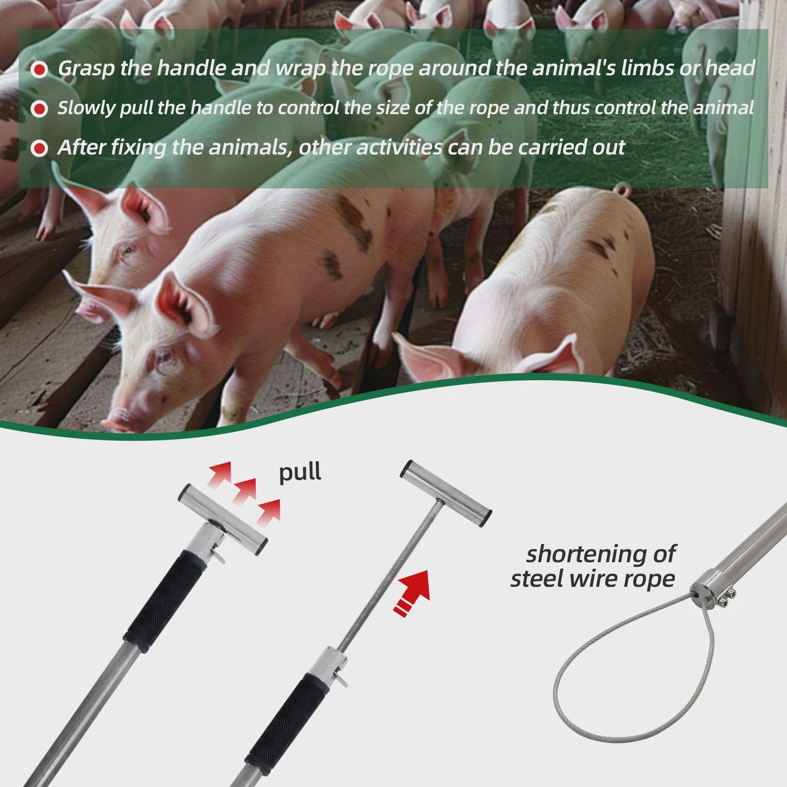 RVS Vangstok voor Varkens en Dieren - Uitschuifbaar met Lus - Efficiënt en Gebruiksvriendelijk