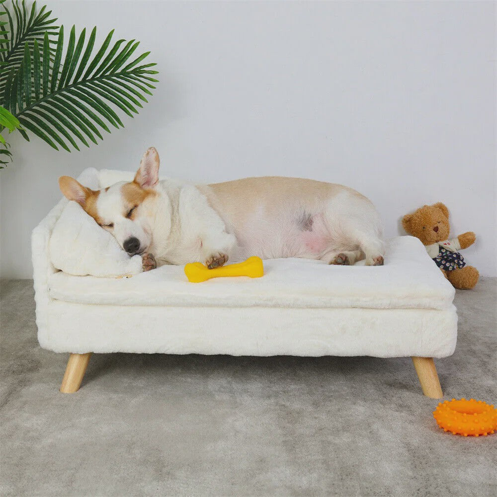Luxe Verhoogd Hondensofa Bed met Rugleuning & Pluche Kussen - Stijlvolle Lounger voor Kleine/Middelgrote Honden & Katten