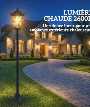 Set van 2 Zwarte Solar Tuinpaal Lampen - Verstelbare Hoogte & Roestvrij Staal
