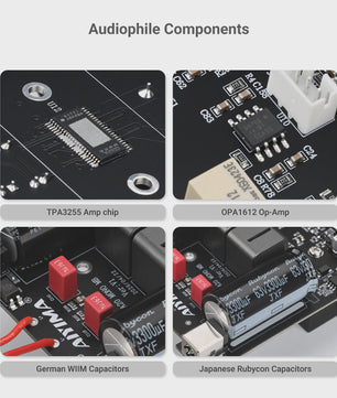 AIYIMA A20 MONO: Krachtige 300W Klasse D Mono Eindversterker met TPA3255, PFFB, VU Meter en Sub Out