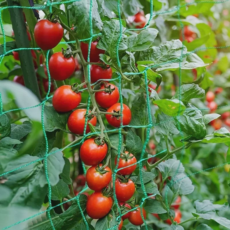 Stevig Klimnet voor Planten & Pergola's - Polyester Tuinnet met Vierkante Mallas