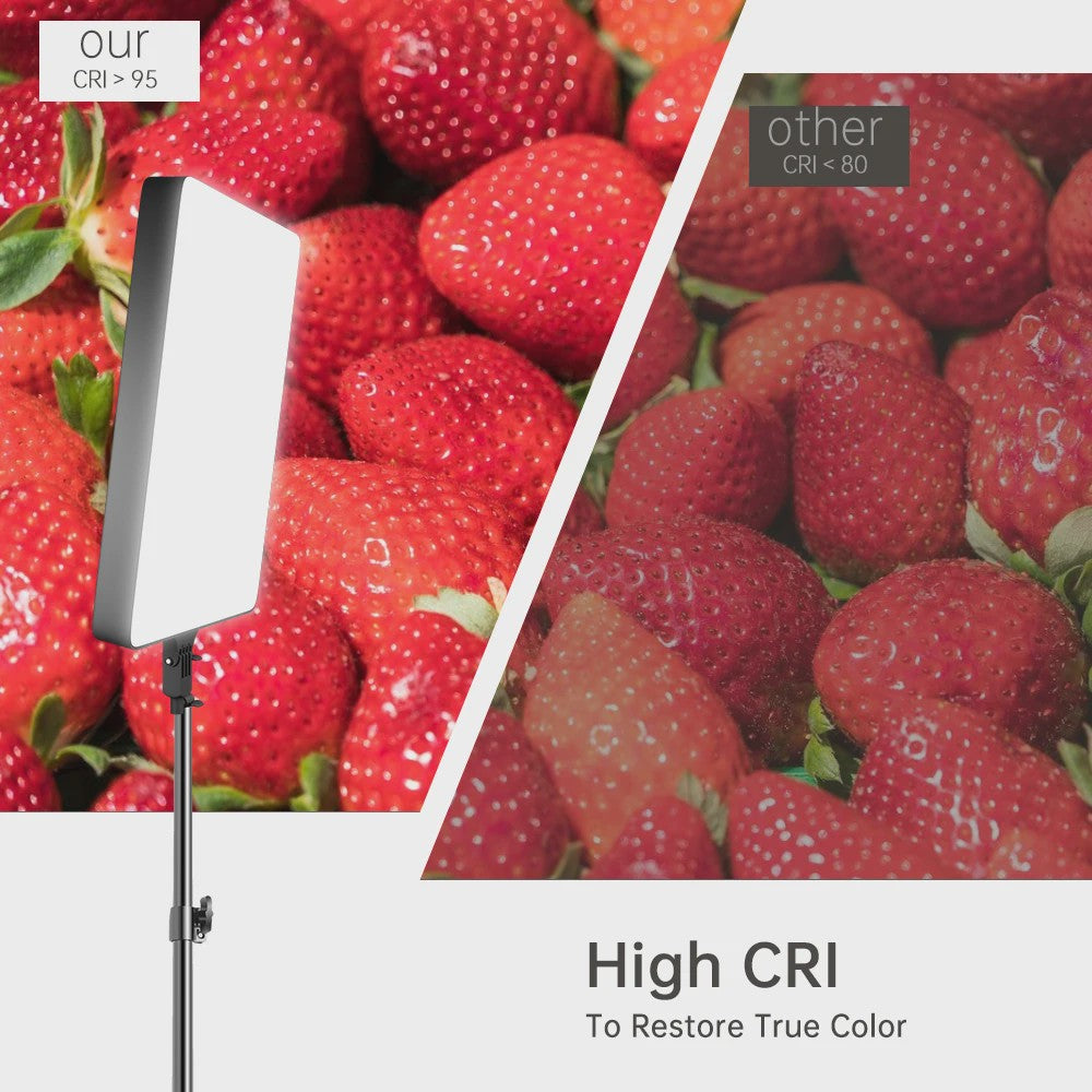 24-inch LED Videolamp met Statief - Verstelbare Kleurtemperatuur & Helderheid voor Fotografie & Livestreaming