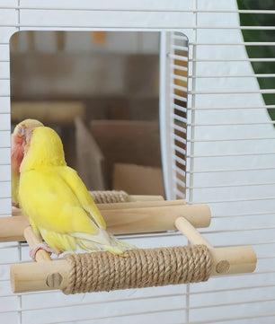Vogel Speeltoren met Spiegel en Jute Touw - Klimmen, Kauwen & Pootverzorging voor Papegaaien