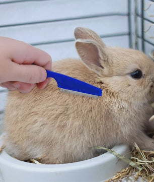 Complete Verzorgingsset Konijn & Cavia: Borstel, Kam, Nagelschaar