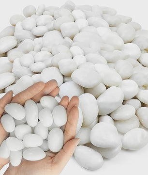Witte Rivierstenen 2-3cm (250/600g) - Gladde Decoratieve Kiezels voor Aquarium, Terrarium & Planten