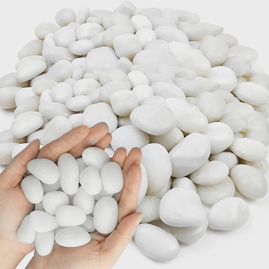 Witte Rivierstenen 2-3cm (250/600g) - Gladde Decoratieve Kiezels voor Aquarium, Terrarium & Planten