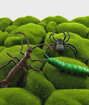 12-delige set realistische insectenfiguren voor tuin en huisdecoratie