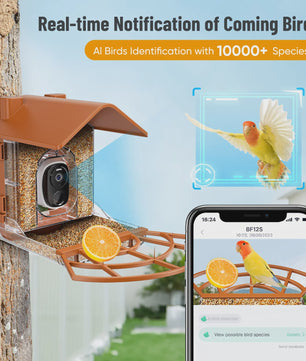 Slimme Vogelvoederhuisje met Camera & Zonnepaneel - AI Vogelherkenning