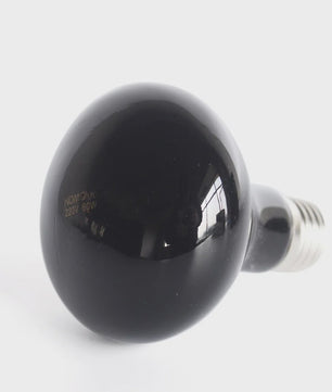Reptielen UVA Infrarood Maanlicht Warmtelamp - 25W t/m 100W