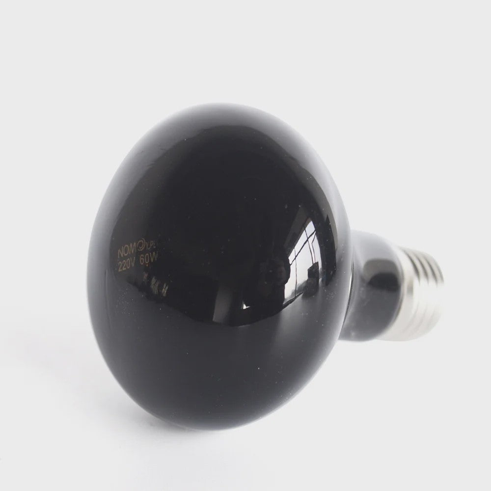 Reptielen UVA Infrarood Maanlicht Warmtelamp - 25W t/m 100W