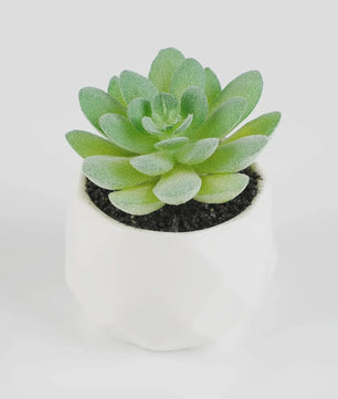 Set van 7 Kunstmatige Succulenten - Realistische Nep Plantjes voor Decoratie