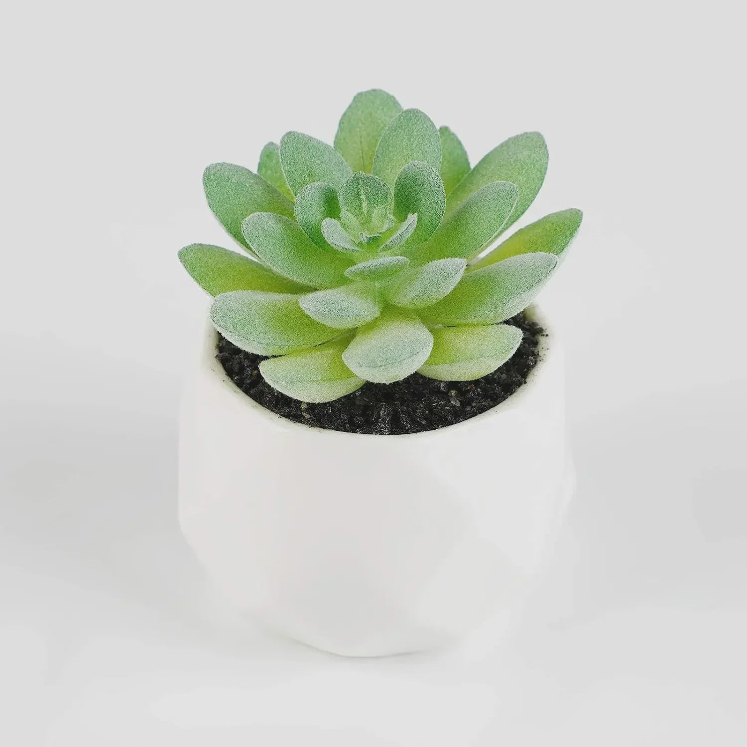 Set van 7 Kunstmatige Succulenten - Realistische Nep Plantjes voor Decoratie