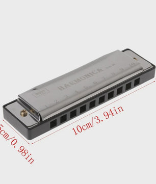 Diatonische Mondharmonica in C - 10 Gaten - Ideaal voor Beginners & Kinderen - Inclusief Hoesje