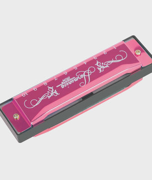 Professionele 10-Gats Mondharmonica in C-Toon met Beschermhoes - Ideaal voor Beginners
