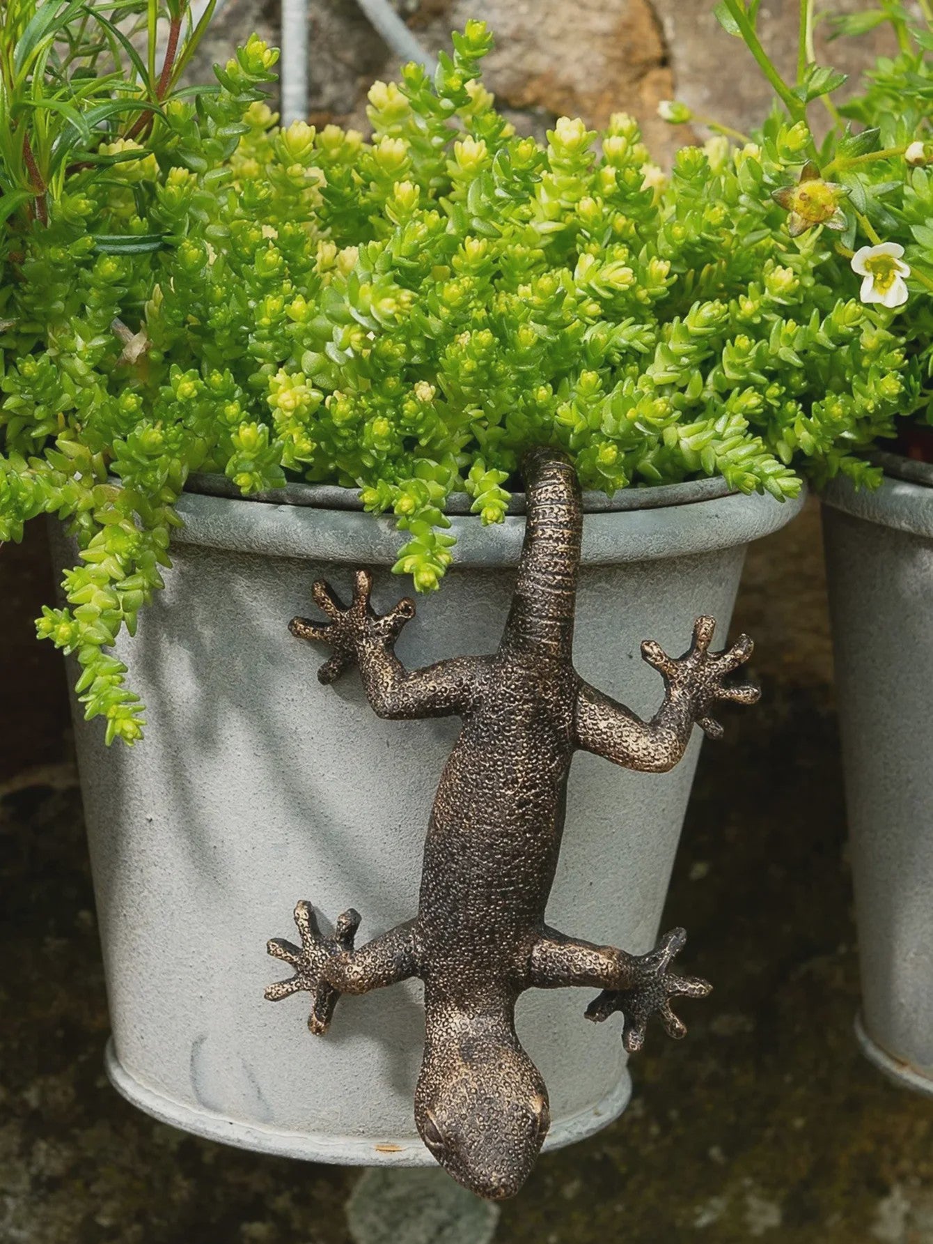Decoratieve Hangende Gecko Figuur voor Plantenbakken - Tuin en Terras Decoratie