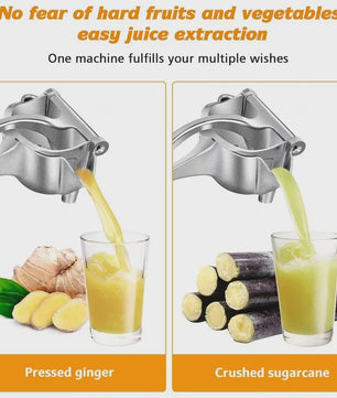 Handmatige Citruspers en Fruit Squeezer - Zwaar Uitgevoerd Metaal