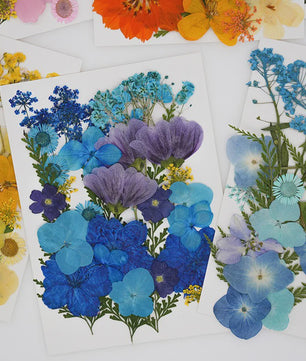 30 Stuks Gedroogde Persbloemen - Natuurlijke Bloemen & Bladeren voor Resin Art, Knutselen en Decoratie