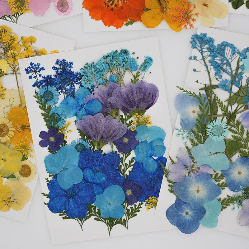 30 Stuks Gedroogde Persbloemen - Natuurlijke Bloemen & Bladeren voor Resin Art, Knutselen en Decoratie