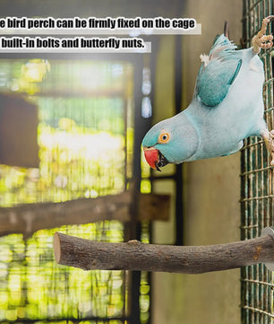 Natuurlijke Houten Papegaai Zitstok Set - Vogelkooi Staande Takken & Platforms